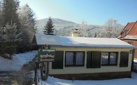 Bergfreiheit